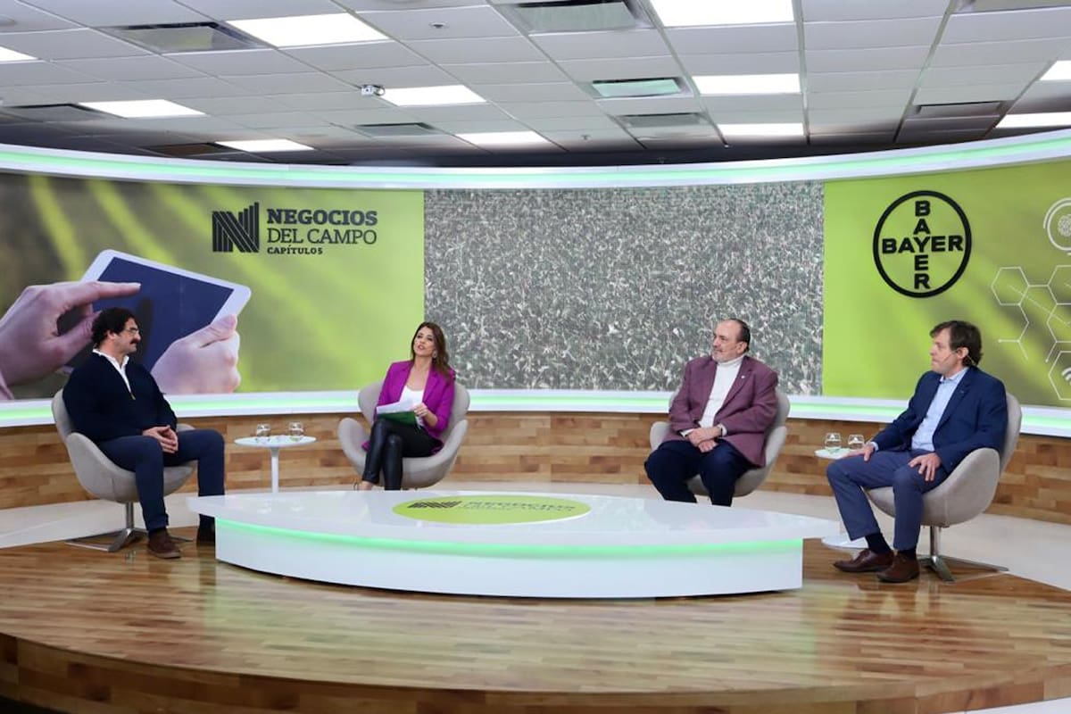 Negocios del Campo