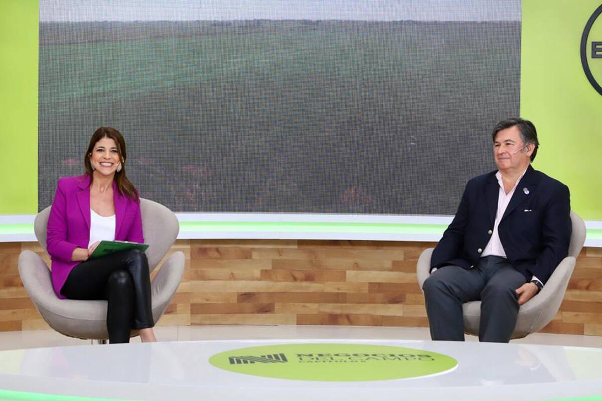 Negocios del Campo