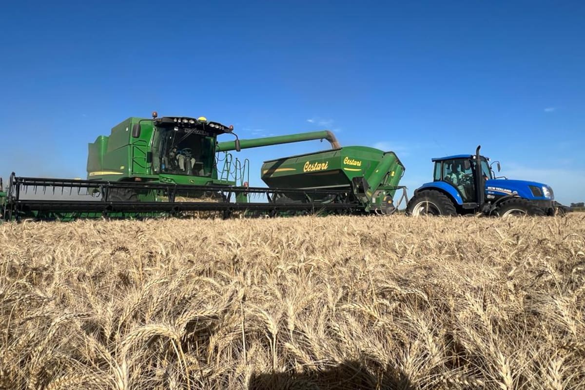 Negocios del Campo reunirá a referentes del sector agropecuario para analizar los principales desafíos y oportunidades de la actividad