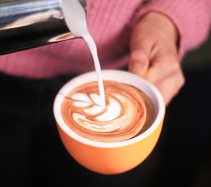 Negro café Gentileza