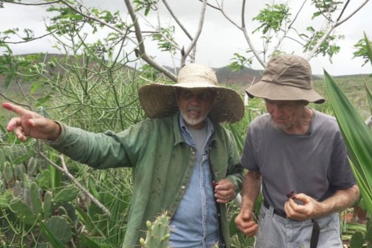Nelson Araújo Filho (izquierda) muestra su agroforestería al suizo Ernst Gotsch, uno de los principales difusores de sistemas agroforestales en Brasil