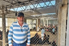 Nelson Ginter, de 62 años, el productor de huevos de color azul más austral del mundo: “Si los dejás más de un día se congelan”