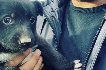 Nelson Raneiro, oriundo de la ciudad de Rosario, cambió la vida de un perro que encontró abandonado en la ruta