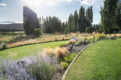Nepeta mussinii, teucrium fruticans y perovskias 'Blue Spire' en un cantero central.