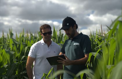 Nera comenzó a operar en noviembre de 2022, ofreciendo créditos digitales en pesos y granos para el pago de insumos o hacienda. Desde su lanzamiento, más de 4000 productores tomaron financiación a través de la plataforma
