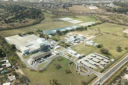 Una multinacional volverá a producir tabletas de chocolate en el país tras 20 años de interrupción - Image 2