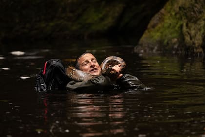 Netflix: Misión safari y la maravilla de sobrevivir con Bear Grylls desde la comodidad del living