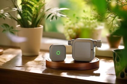 Netro Pixie se conecta al Wi-Fi para consultar el pronóstico meteorológico y activar el riego solo cuando es necesario