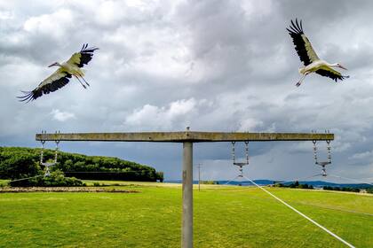 Neu-Anspach, Alemania. Edición fotográfica de Jesica Rizzo