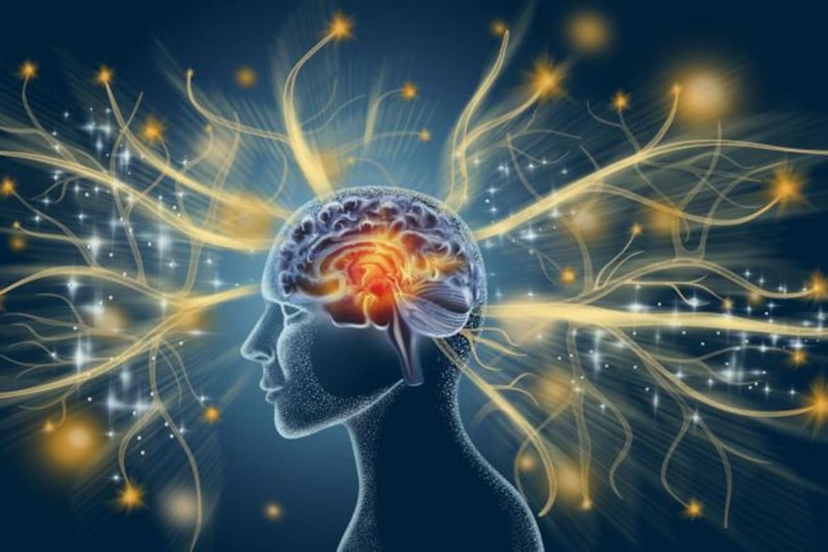 Neurológicamente, un hábito es una fórmula que el cerebro sigue automáticamente, porque es un órgano vago que prefiere no modificar lo establecido como una manera de ahorrar energía