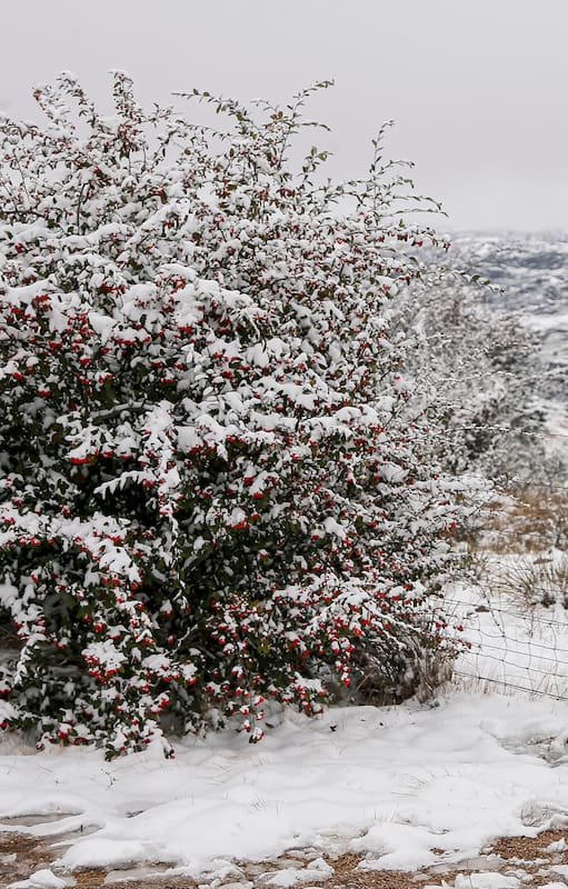 Nevada en el Valle de Calamuchita, Villa Berna, Córdoba