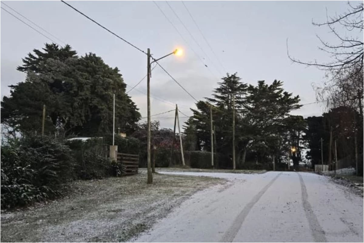 Nevó en Mar del Plata
Foto: 0223