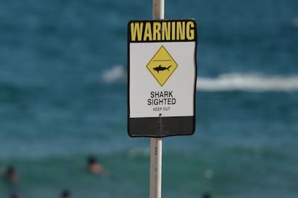 New Smyrna Beach se encuentra a una hora de Orlando y todos los años recibe a más de 10 millones de turistas.