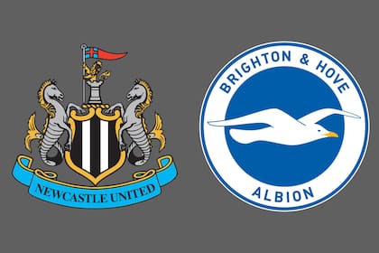 Newcastle United-Brighton and Hove Albion