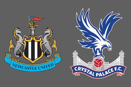 Newcastle United vs. Crystal Palace, por una nueva jornada del fútbol inglés