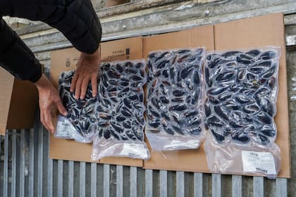 Newsan Food apunta a posicionarse en la producción de moluscos