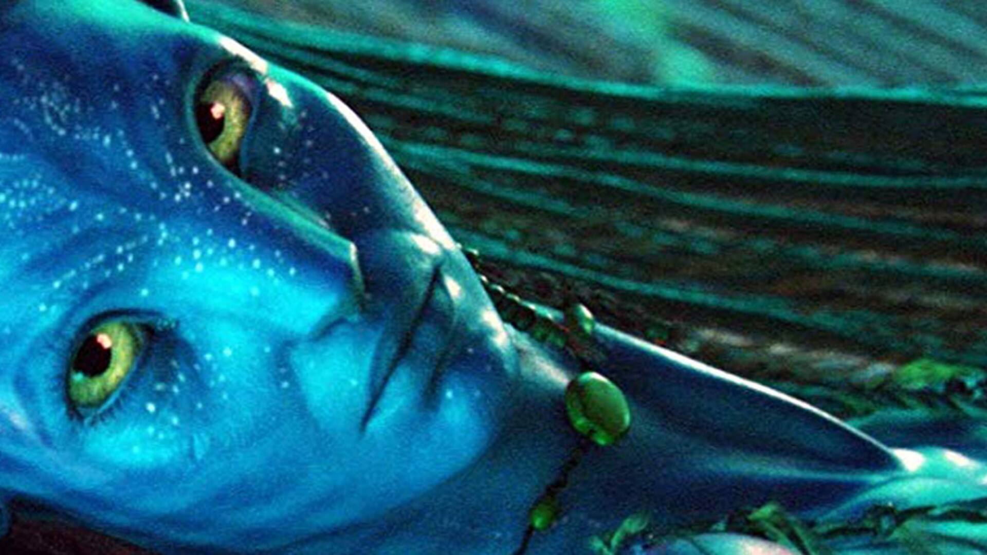 Neytiti