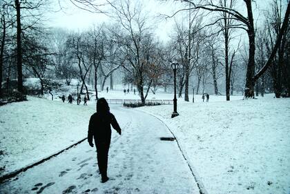 Ni la nieve detiene el movimiento en el Central Park.