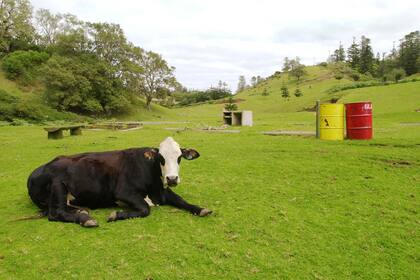 Ni los riscos del Ártico ni las islas tropicales se salvan de los aranceles de Trump