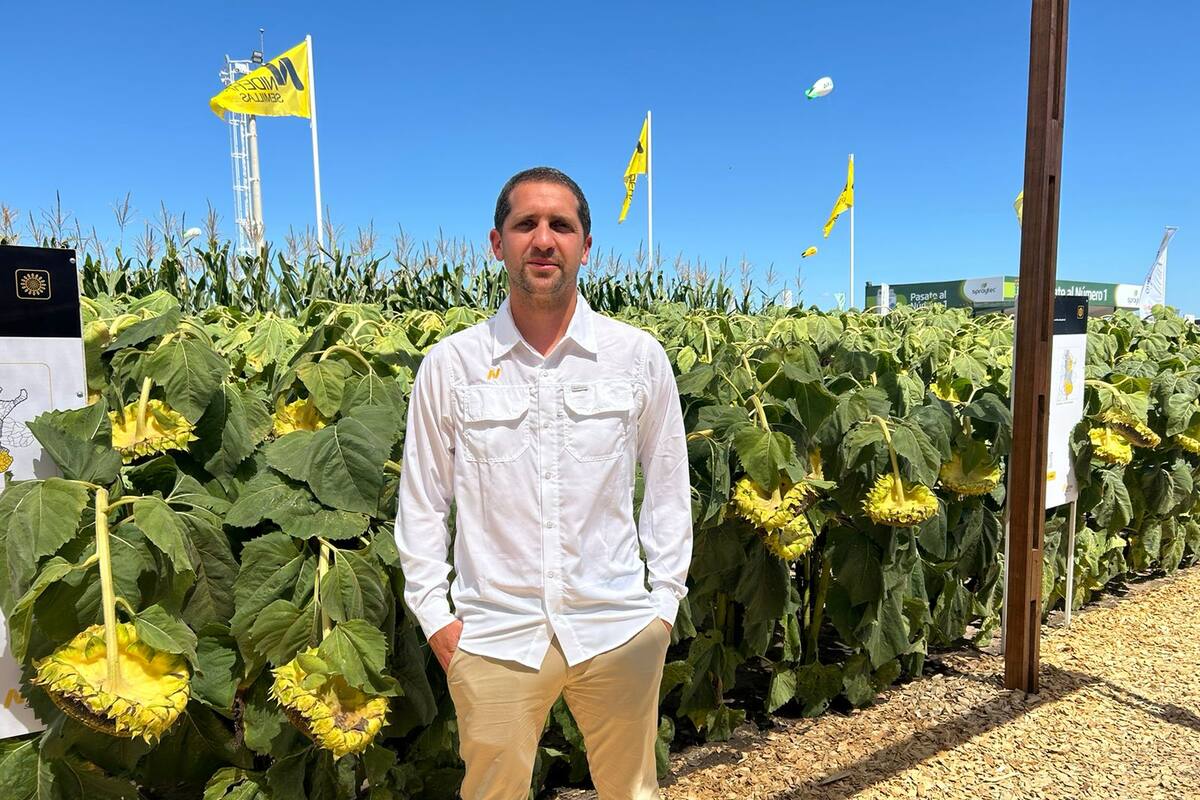 Nicolás Brandstadter, gerente de marketing de Nidera Semillas