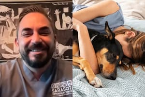 Nicolás Cáceres indicó las precauciones que deben tomarse para dormir con una mascota de la forma más segura posible (YouTube/Noticias Telemundo) (Freepik)