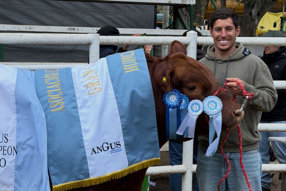Nicolás Cavigliasso, campeón del Dakar, sumó un Gran Campeón Macho Angus