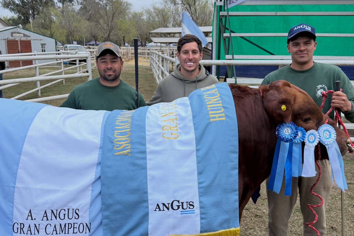 Nicolás Cavigliasso, en el centro, está al frente de El Viejo Zorzal, una cabaña que trabaja con genética negra y colorada