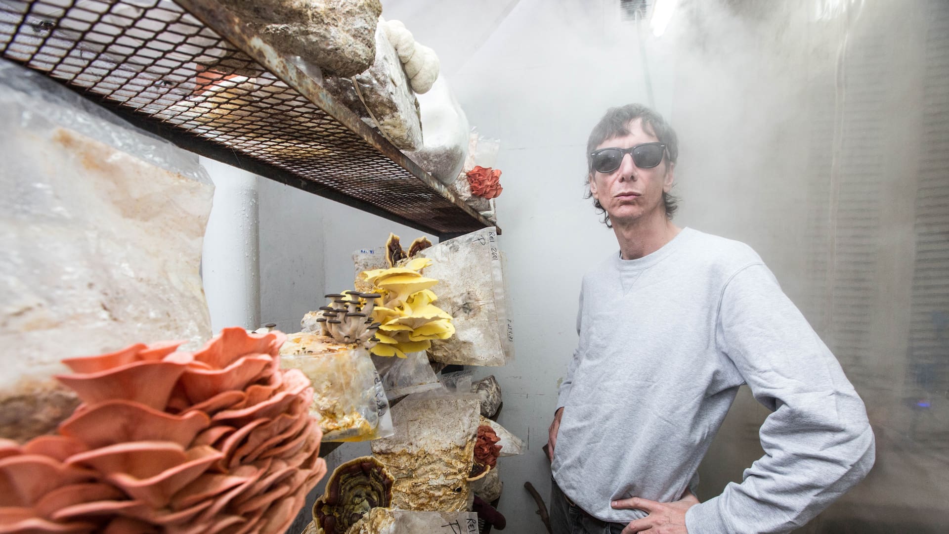 Nicolas Drukaroff, en su laboratorio