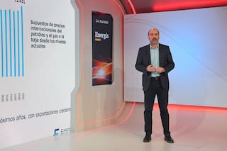 Destacan el aporte cambiario de Vaca Muerta y proyectan un saldo "muy robusto y firme" para los próximos años