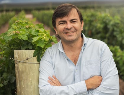 Nicolás Klappenbach, nuevo director nacional de Ventas y Trademarketing en Norton