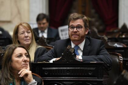 Nicolás Massot planteó la moción