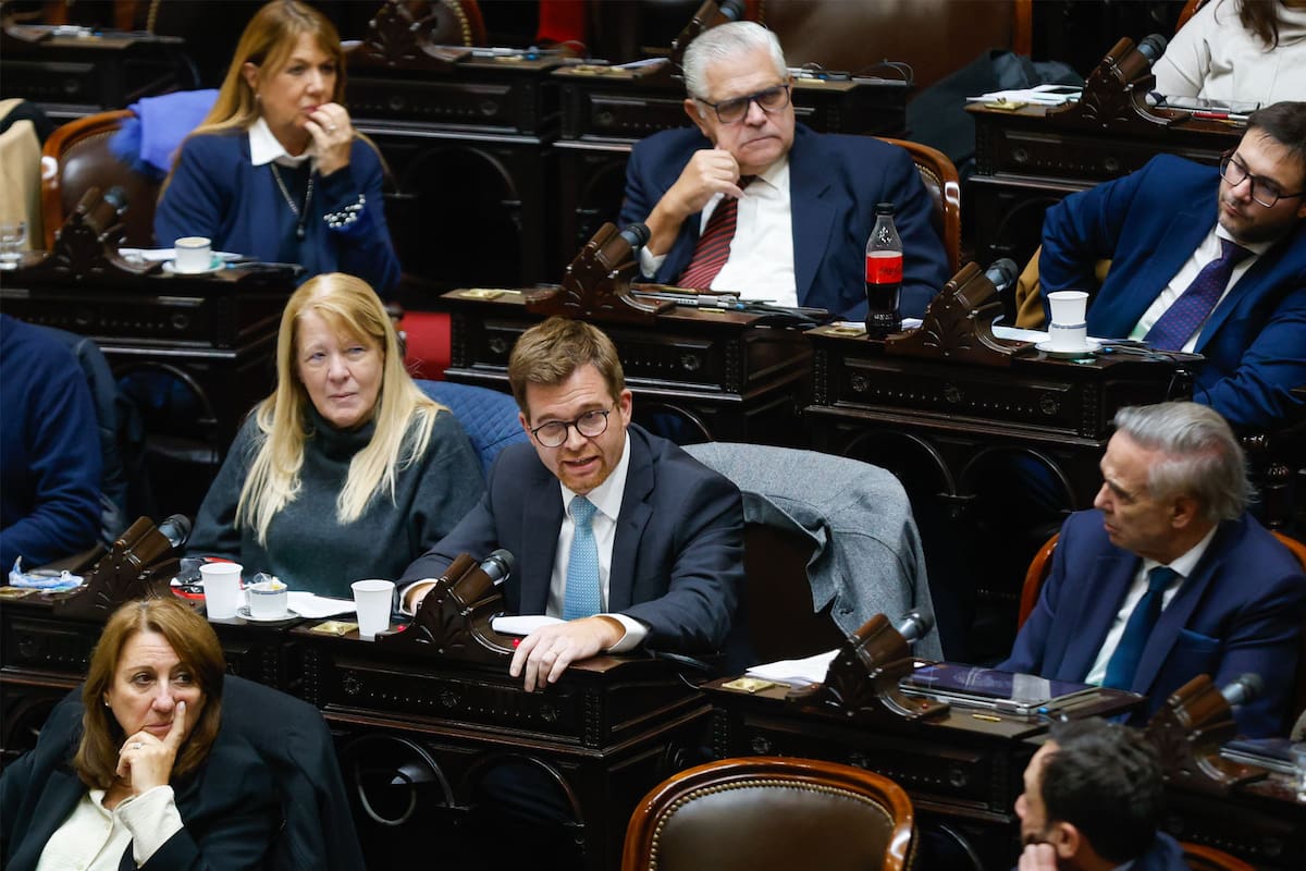 Nicolás Massot propone declarar nulo de nulidad absoluta el DNU sobre gastos reservados a la SIDE