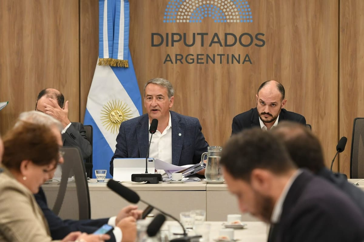 Nicolás Mayoraz condujo el plenario como presidente de la Comisión de Asuntos Constitucionales junto a Santiago Santurio, titular de la Comisión de Legislación General