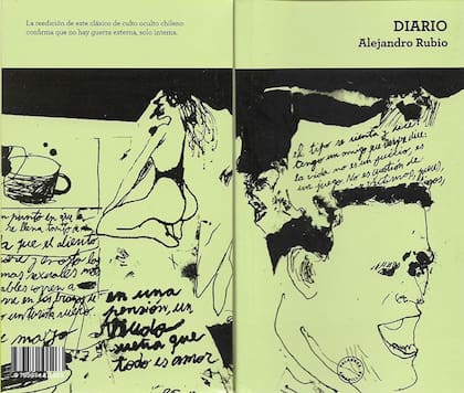 Nicolás Moguilevsky relaciona la estética del cómic y del collage con el lenguaje literario en la tapa de Diario, de Alejandro Rubio, de la editorial Palabras Amarillas.