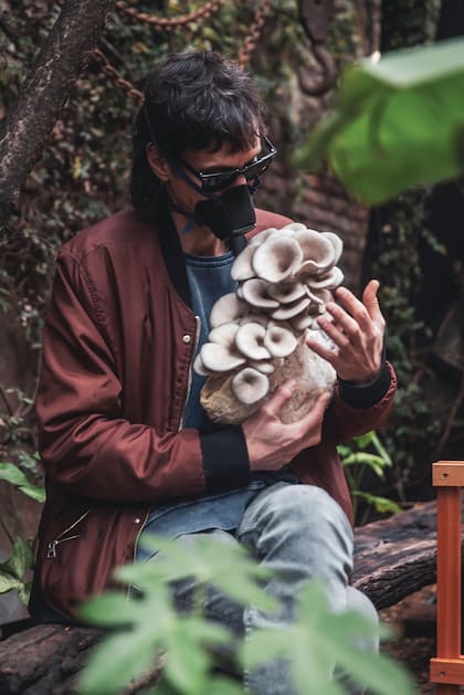 Nicolás (@nikinoto), fotógrafo y cultivador de hongos en Chuí, el restaurante de Villa Crespo.