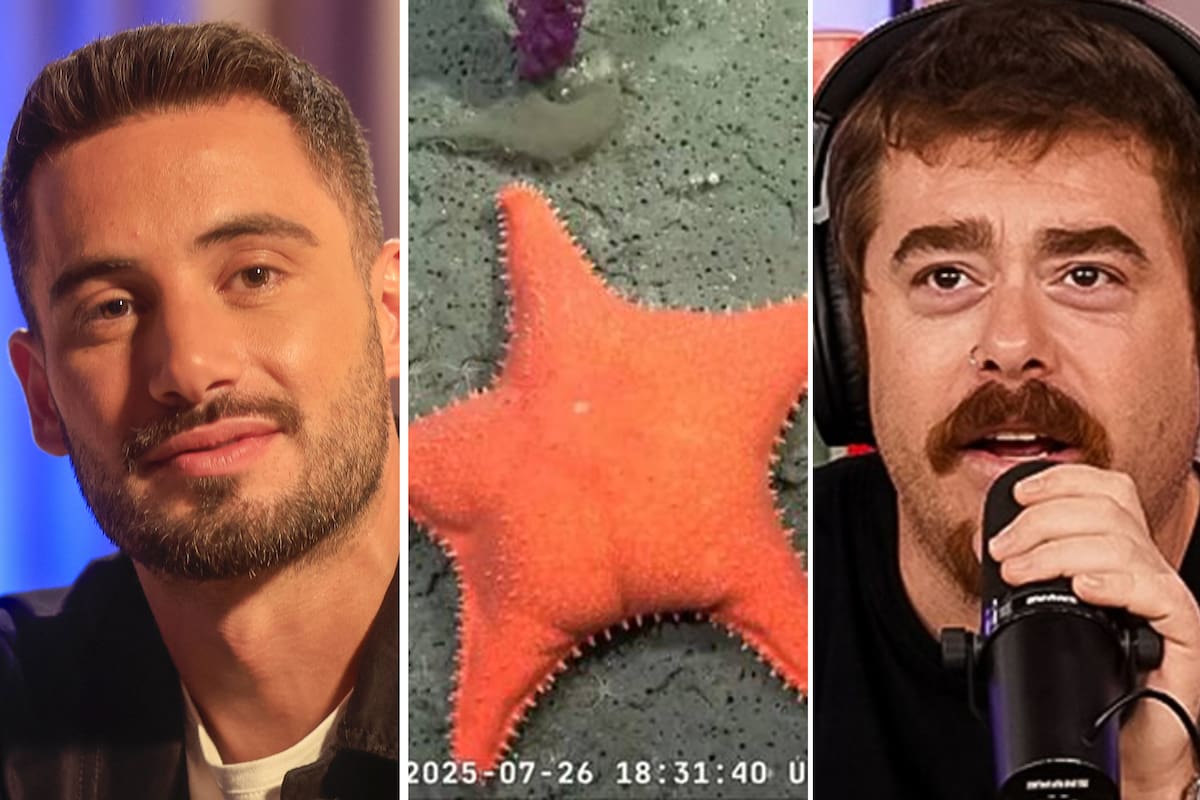 Nicolás Occhiato, la estrella del Conicet y Migue Granados, los grandes protagonistas del streaming este 2025