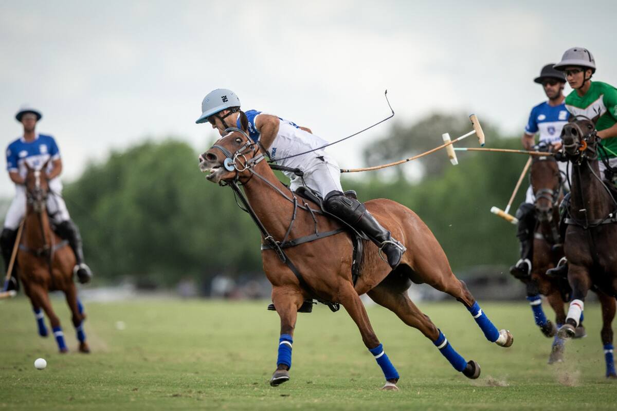 Nicolás Pieres, el back de un Ellerstina que funcionó de entrada