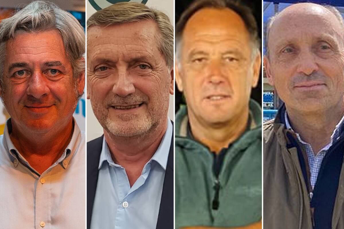 Nicolás Pino, Elbio Laucirica, Gabriel de Raedemaeker y Horacio Salaverri