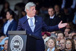 La Rural reclamó que las retenciones “dejen de existir por ley y para siempre”