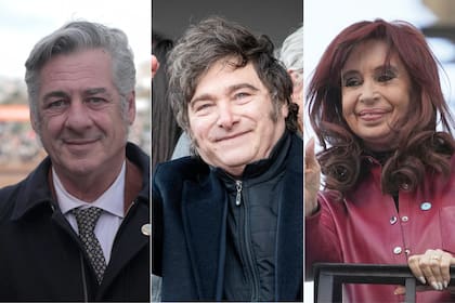 Nicolás Pino, Javier Milei y Cristina Fernández de Kirchner
