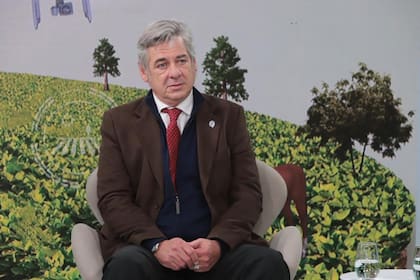 Nicolás Pino, presidente de la Sociedad Rural Argentina (SRA)