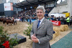 Nicolás Pino, presidente de la Sociedad Rural Argentina (SRA)