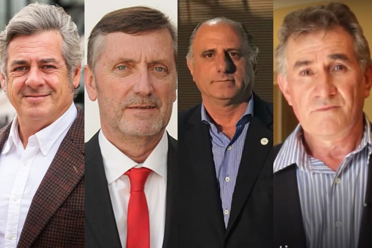 Nicolás Pino, presidente de la Sociedad Rural Argentina (SRA); Elbio Laucirica, vicepresidente de Coninagro; Jorge Chemes, presidente de Confederaciones Rurales Argentinas (CRA) y Carlos Achetoni, presidente de Federación Agraria Argentina (FAA)