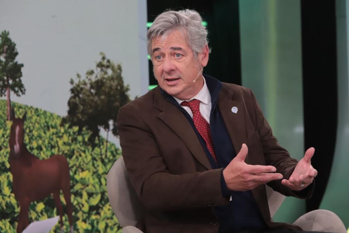 Nicolás Pino, presidente de la Sociedad Rural Argentina (SRA)
