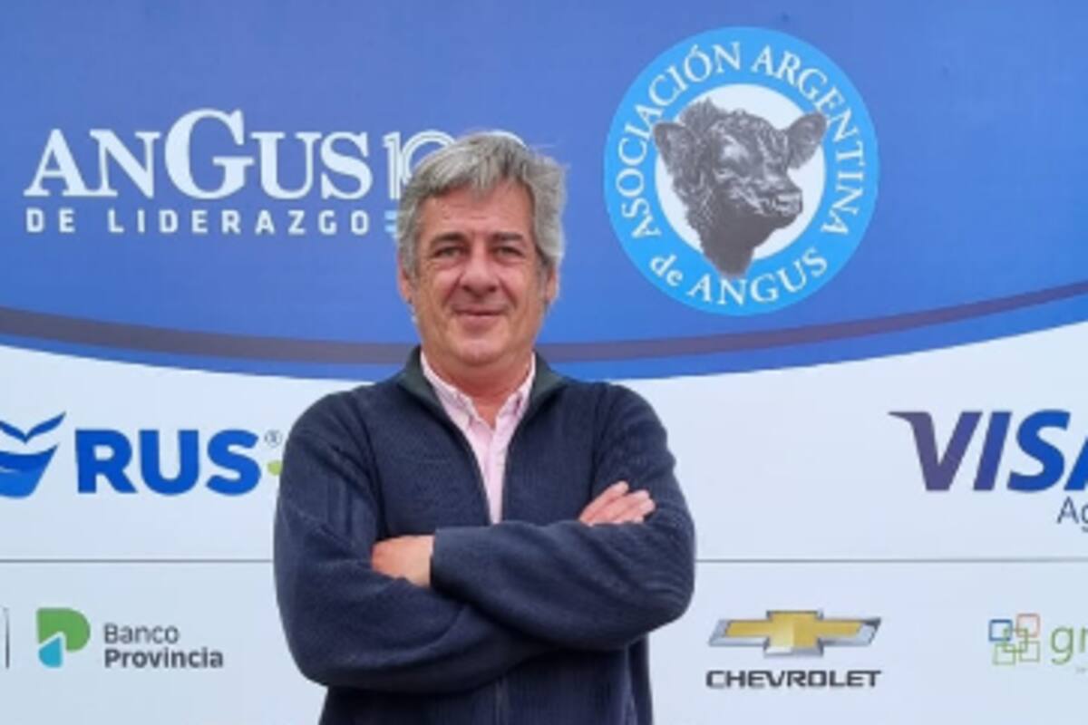 Nicolás Pino, presidente de la Sociedad Rural Argentina (SRA) durante la 43° Nacional Angus de Primavera y la 22° Exposición del Ternero Angus, en Olavarría