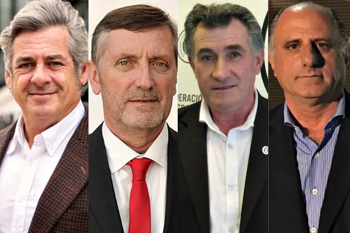 Nicolás Pino (SRA), Elbio Laucirica (Coninagro), Carlos Achetoni (FAA) y Jorge Chemes (CRA)