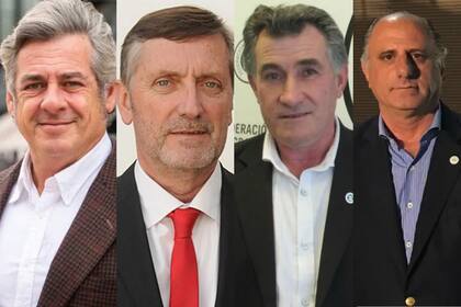 Nicolás Pino (SRA), Elbio Laucirica (Coninagro), Carlos Achetoni (FAA) y Jorge Chemes (CRA). Archivo