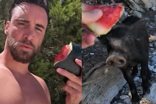 Nico Tagliafico y su pelea con un cerdo salvaje en plenas vacaciones en Grecia