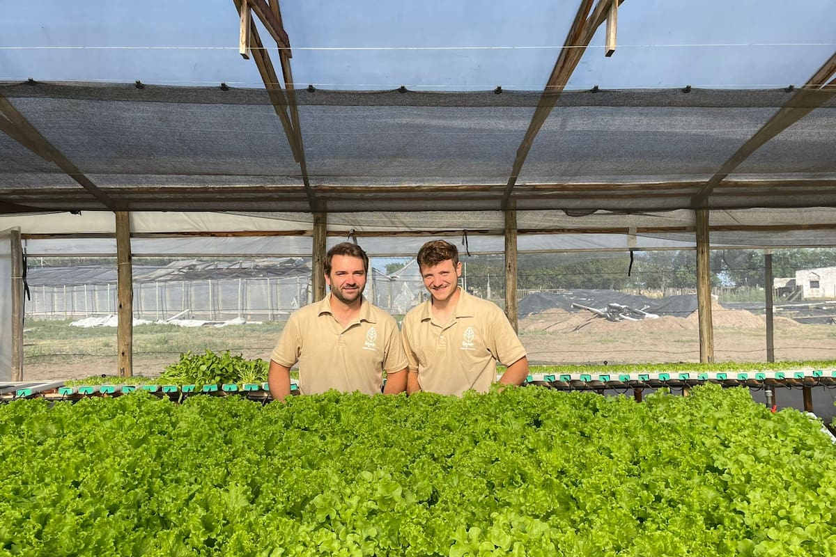 Nicolás Zampieri y Javier Piedri hacen con ciclo completo unas 5000 plantas mensuales