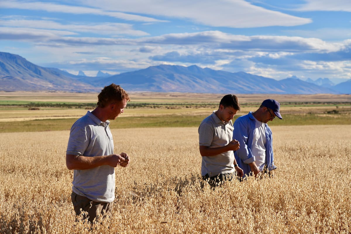 Nicolás Zuber, Tomás Ciurlanti y Ricardo Coggiola durante el verano en uno de los lotes en Estancia Alice